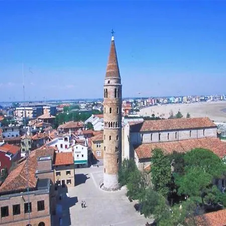 In Ve